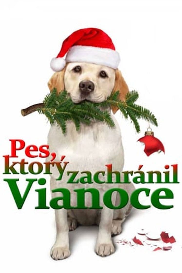 Película The Dog Who Saved Christmas