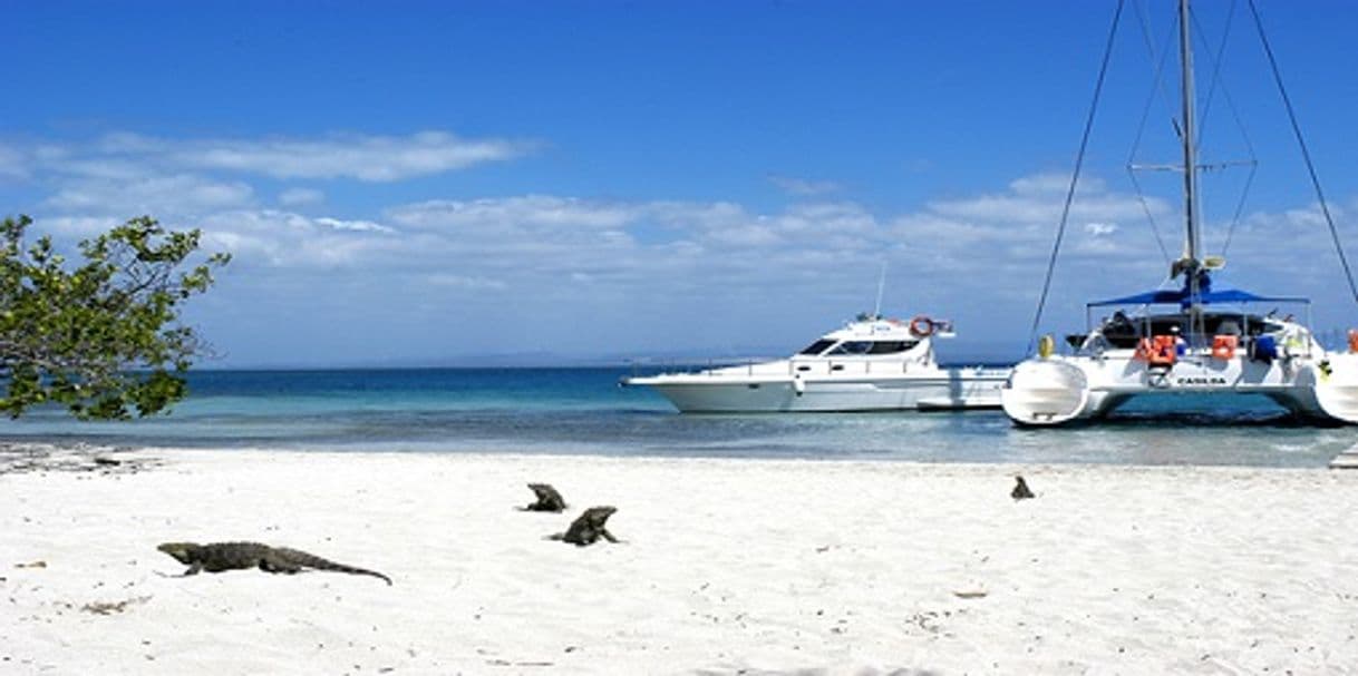 Lugar Cayo Blanco