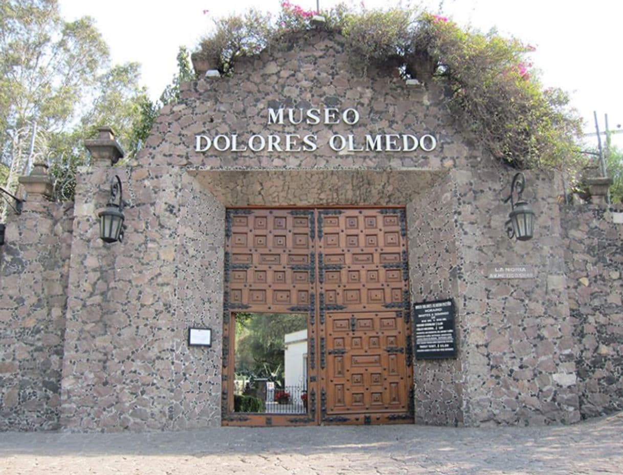 Place Museo Dolores Olmedo