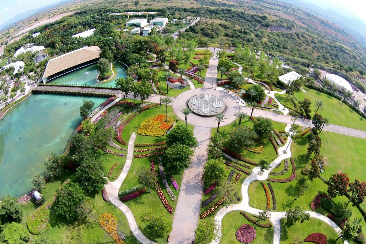 Place Jardines de México