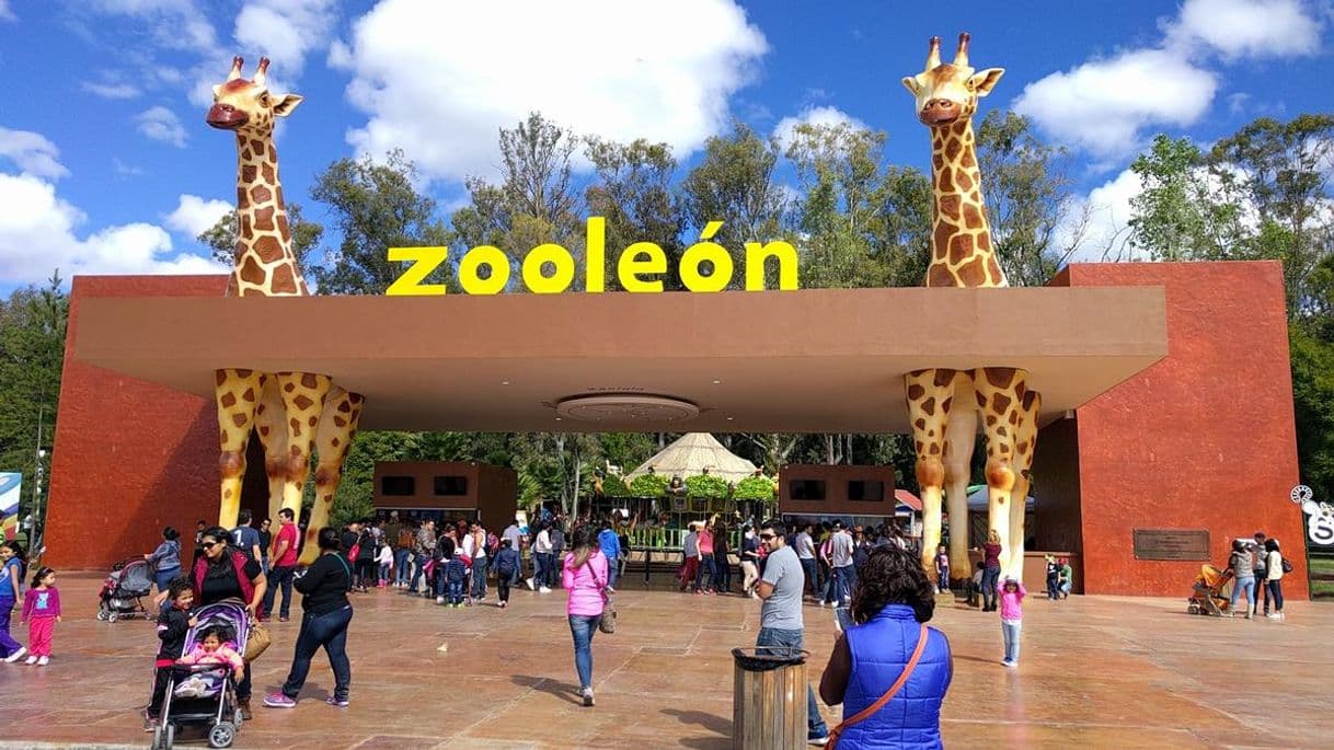 Place Zoológico de León