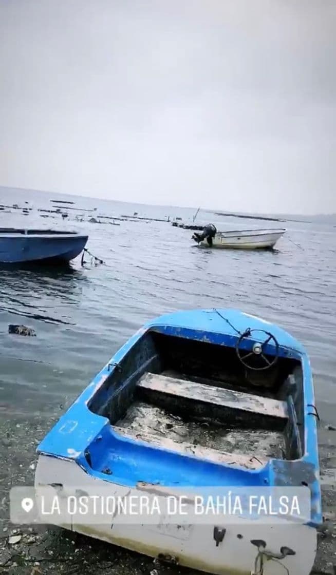 Restaurantes Ostiones Bahia