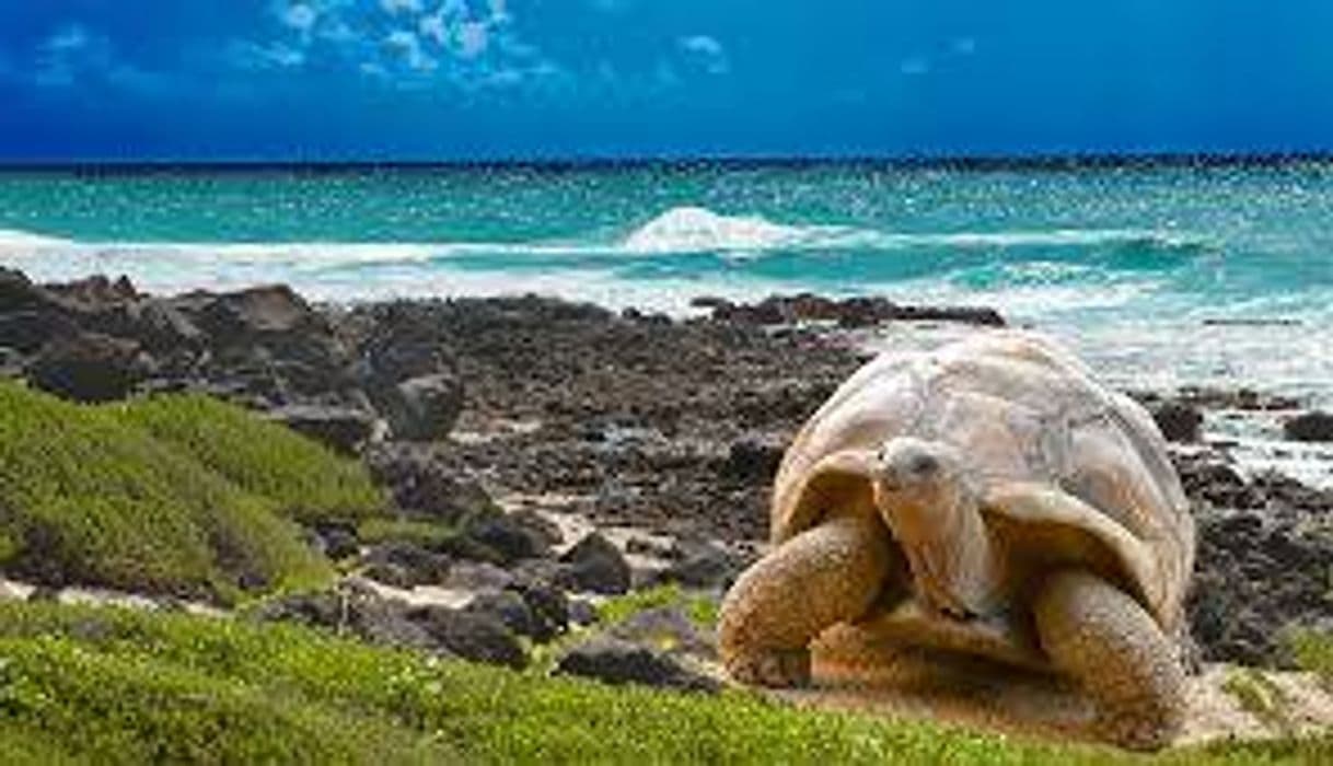 Place Galapagos Islands