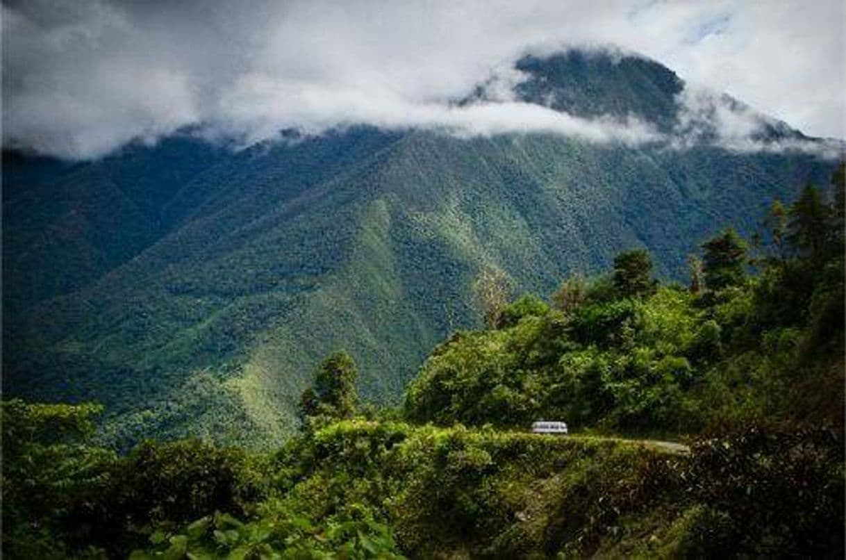 Lugar North Yungas Road