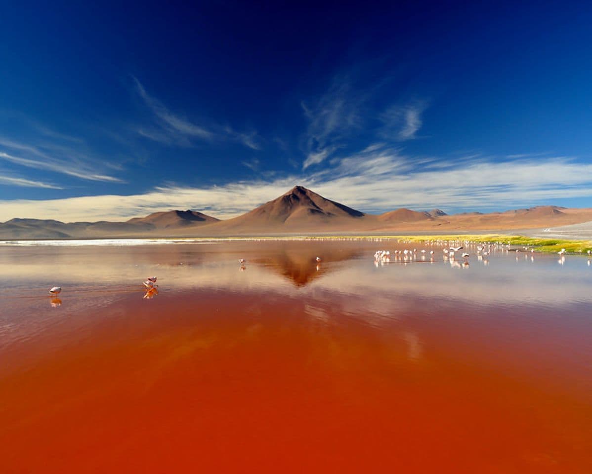 Lugar Laguna Colorada