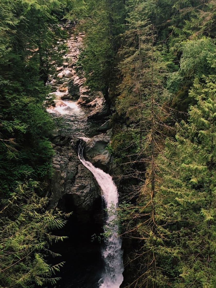 Place Lynn Canyon Park