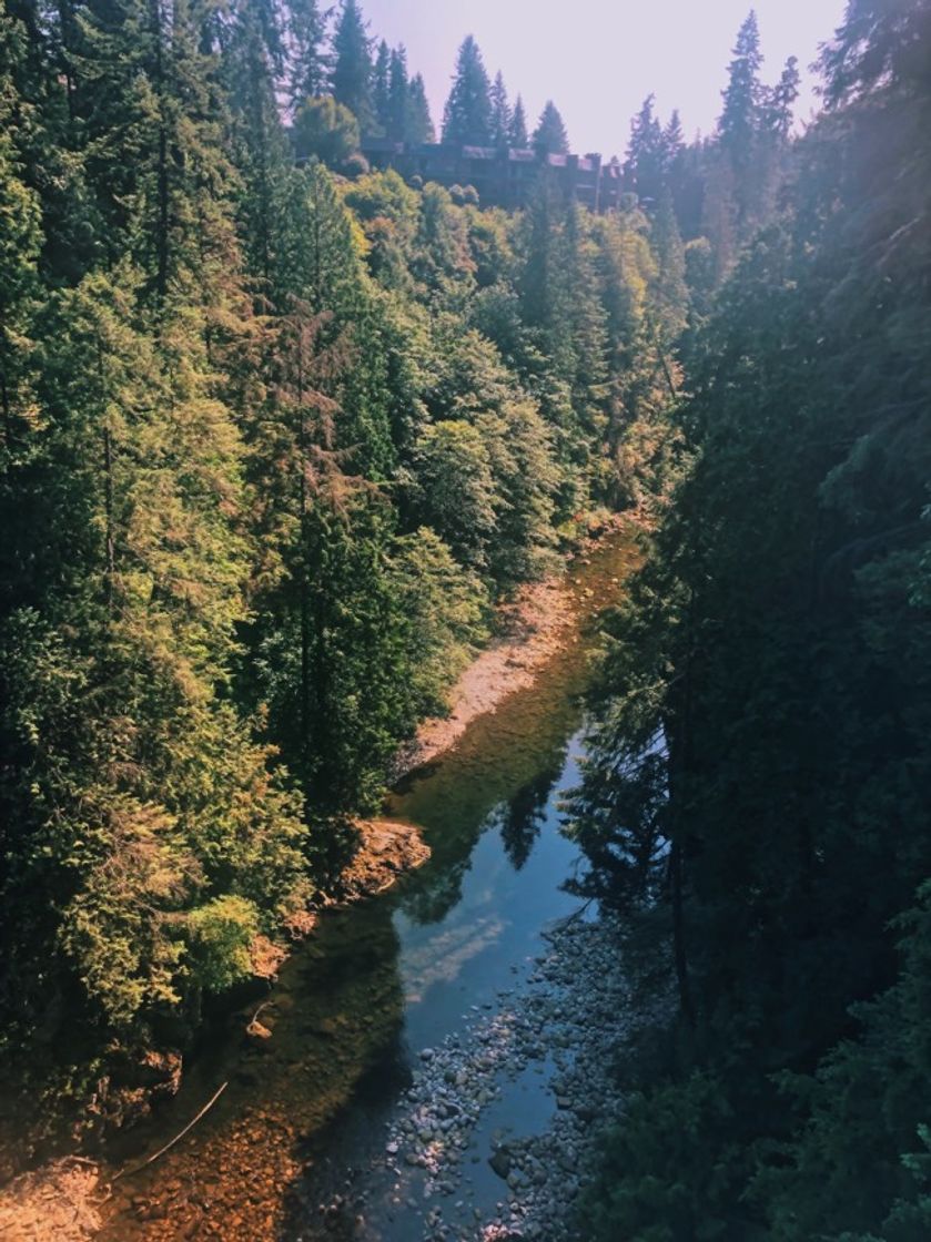 Place Capilano Suspension Bridge