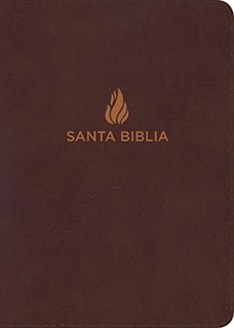 Book Rvr 1960 Biblia Letra Grande Tamaño Manual Marrón