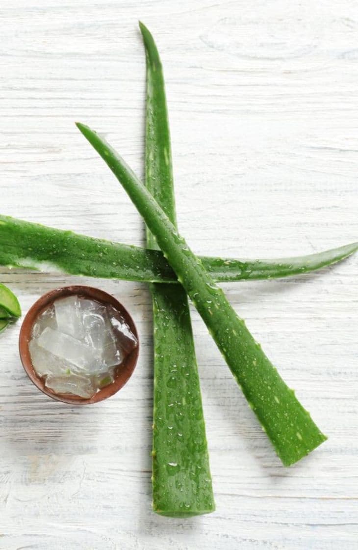 Moda CONGELA TU ALOE VERA 🌿✨