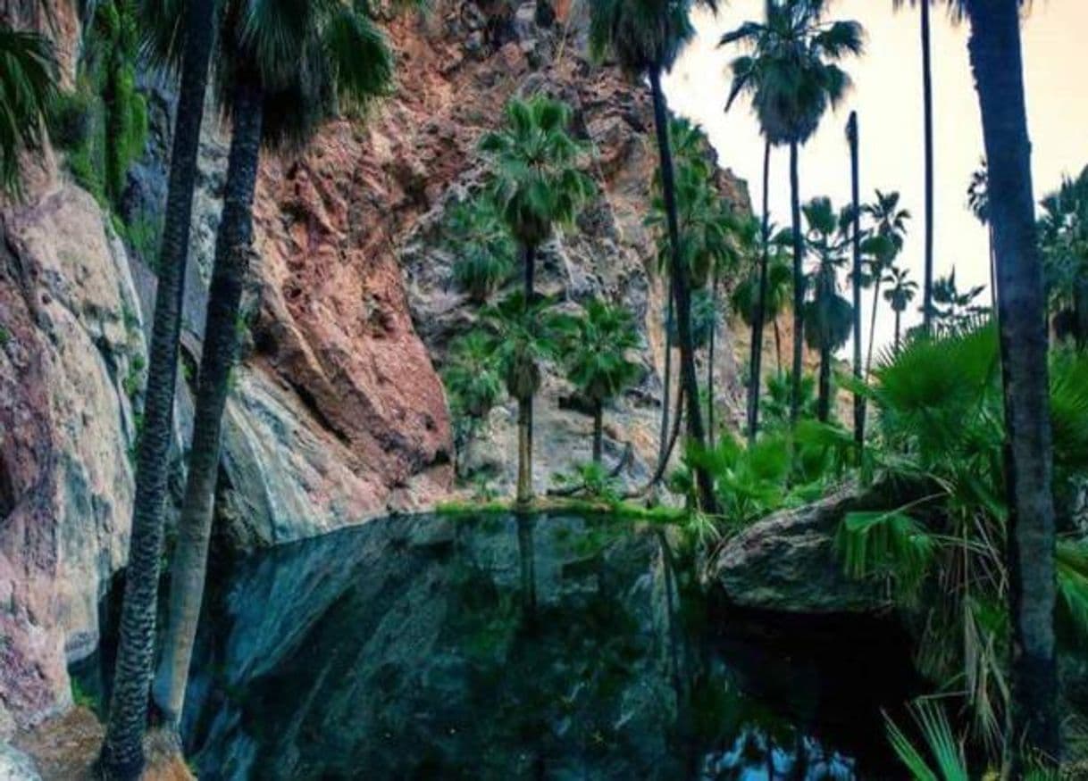 Restaurantes Cañon del Nacapule