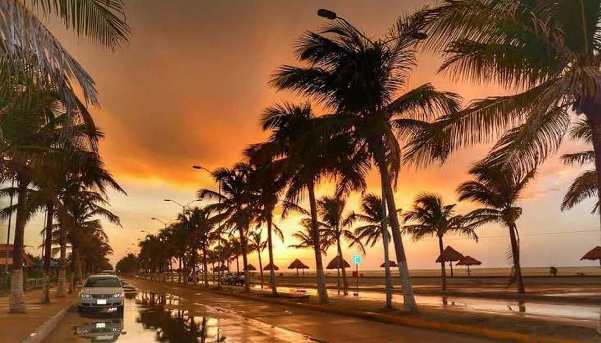 Place MALECÓN COSTERO "NELSON BARRERA ROMELLÓN"