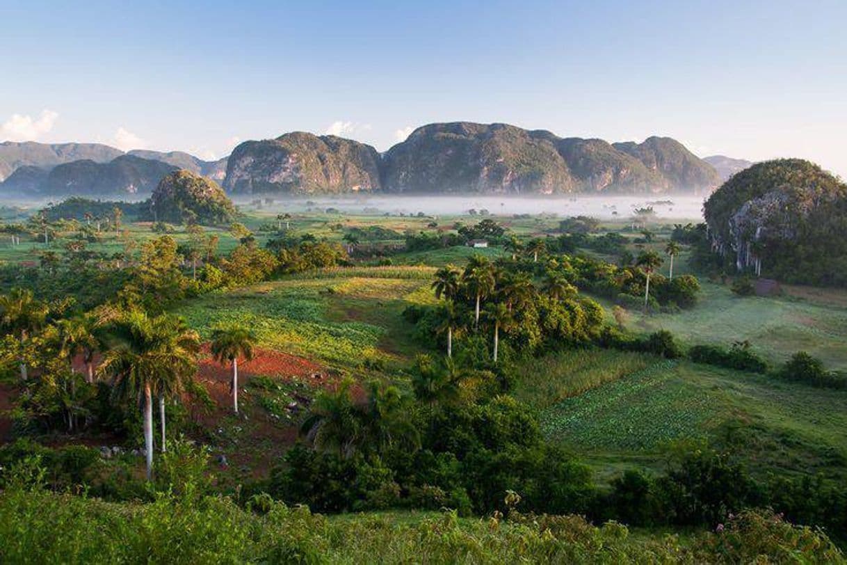 Place Viñales