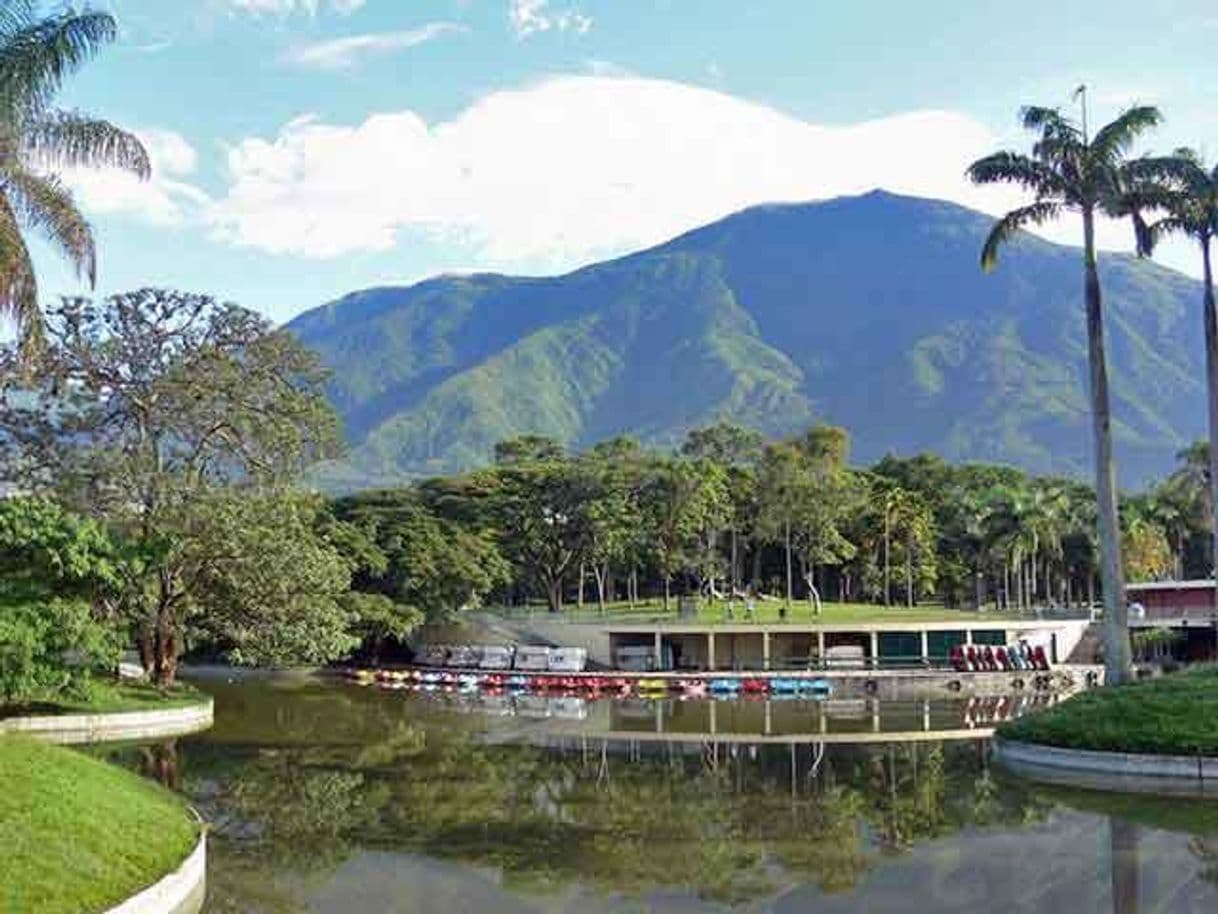 Place Parque del Este