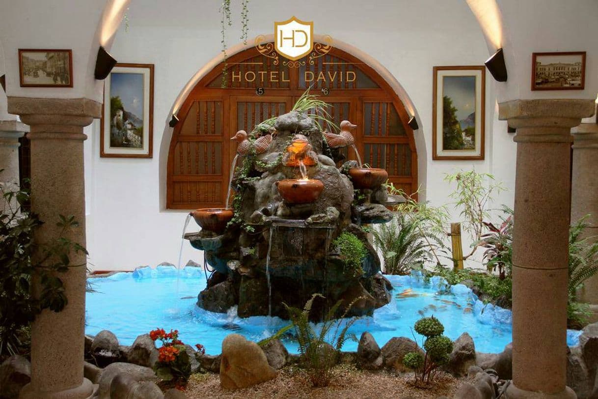 Place Hotel David