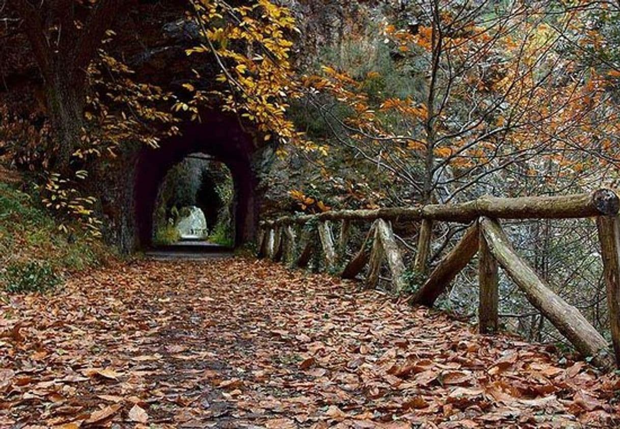 Lugar Senda del Oso