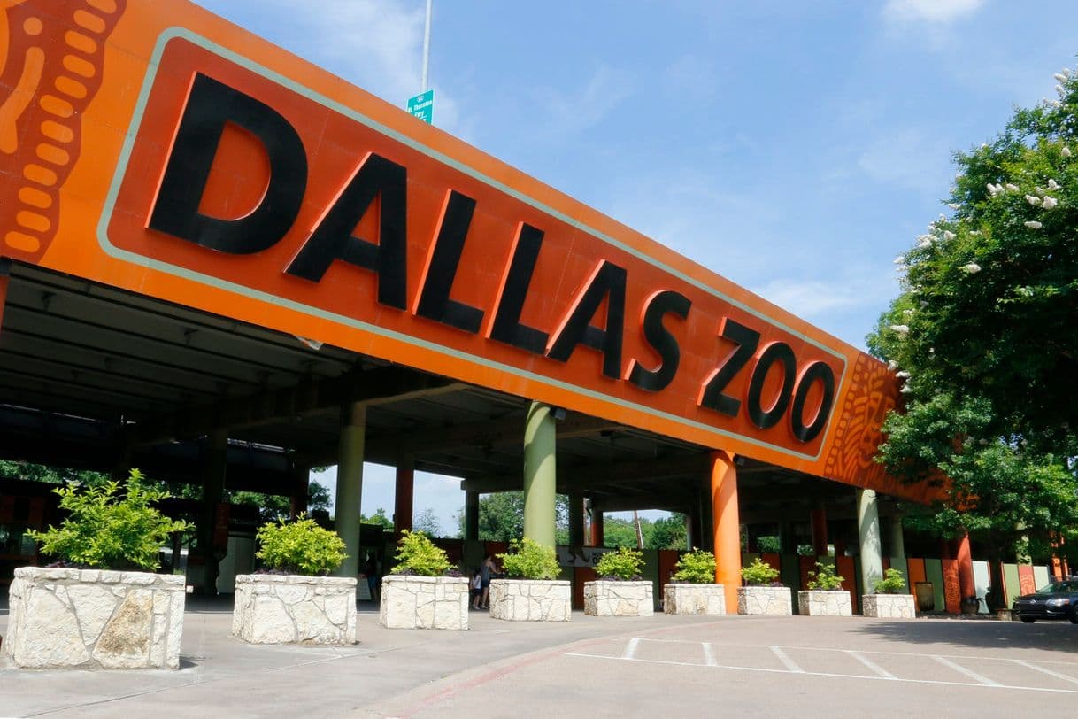 Lugar Zoo Dallas