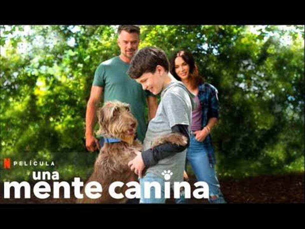 Movie Una Mente Canina