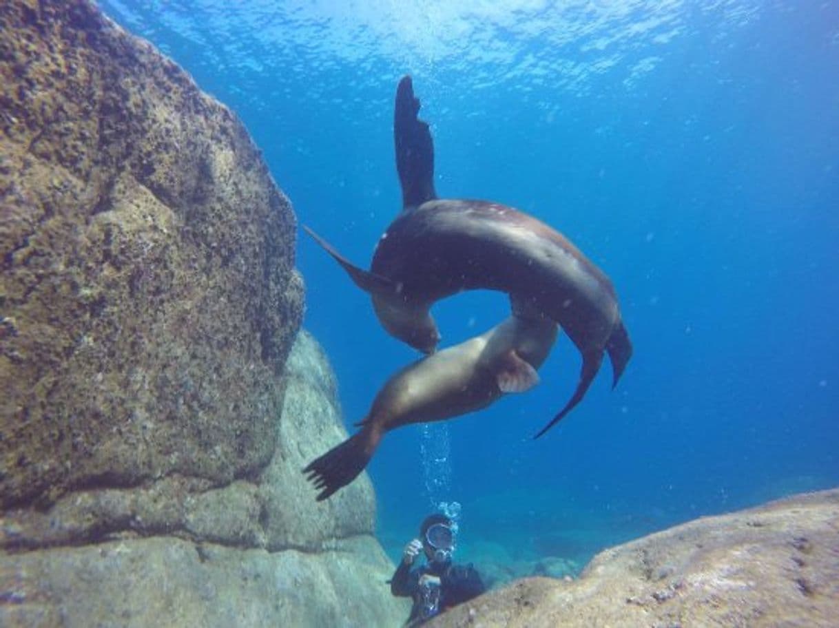 Lugar Isla Espíritu Santo