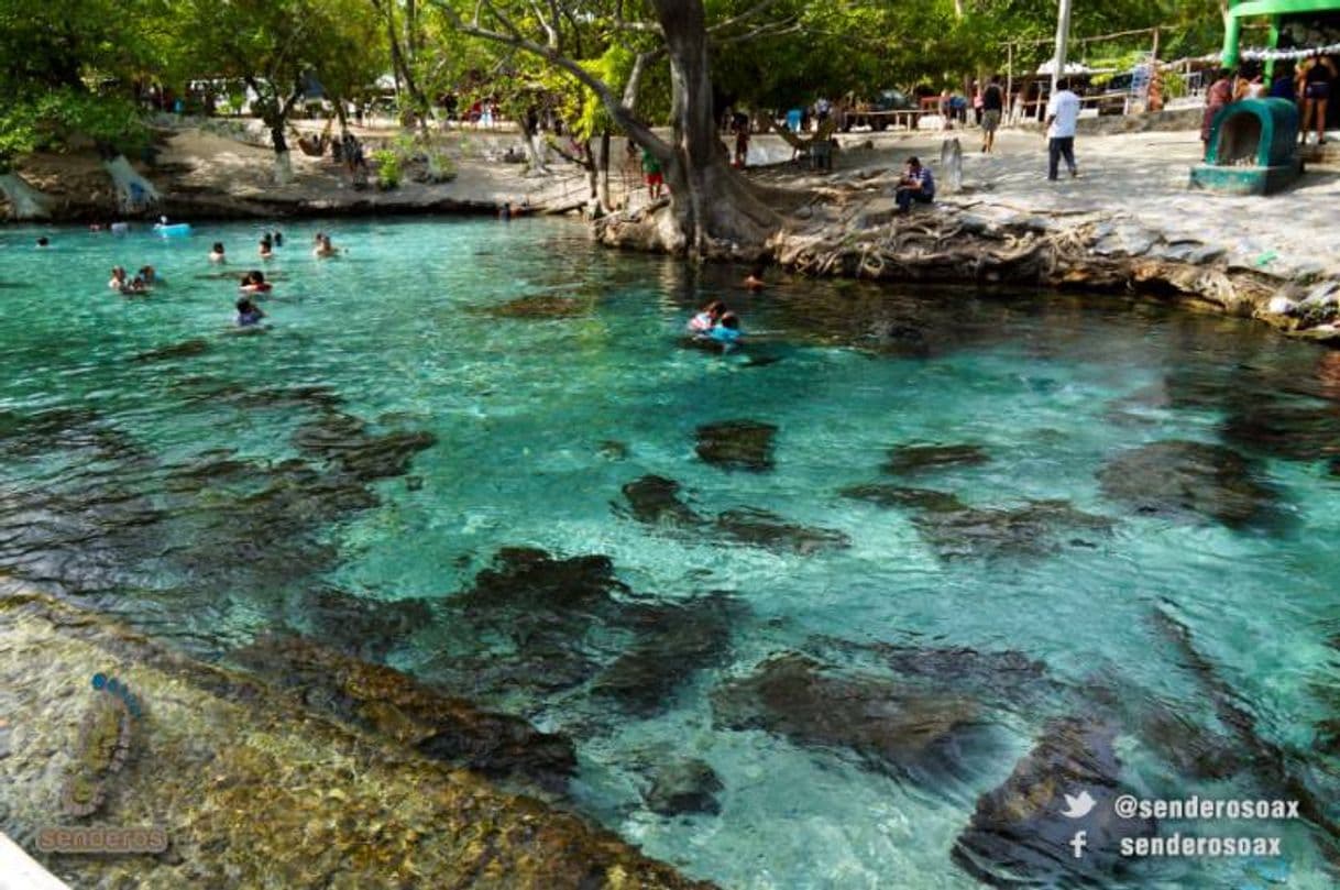 Restaurantes Ojo de Agua