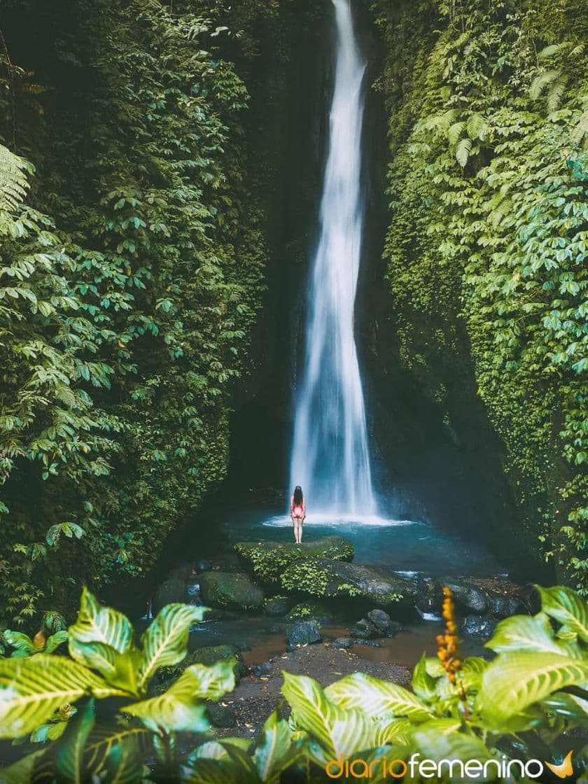 Lugar Cascada de Basaseachi