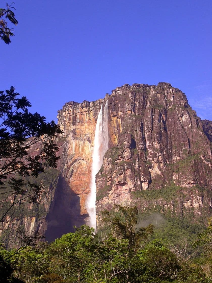 Place El Salto Angel Agua Purificada