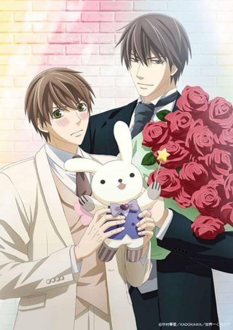 Serie Sekaiichi Hatsukoi