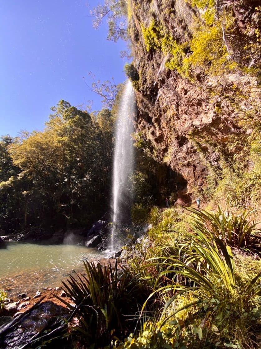 Lugar Springbrook National Park