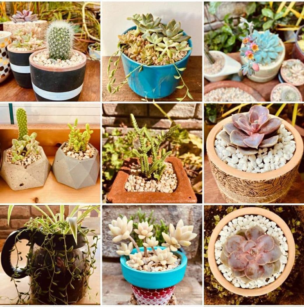 Moda GRILLO 🌿🦗 Handmade Pots