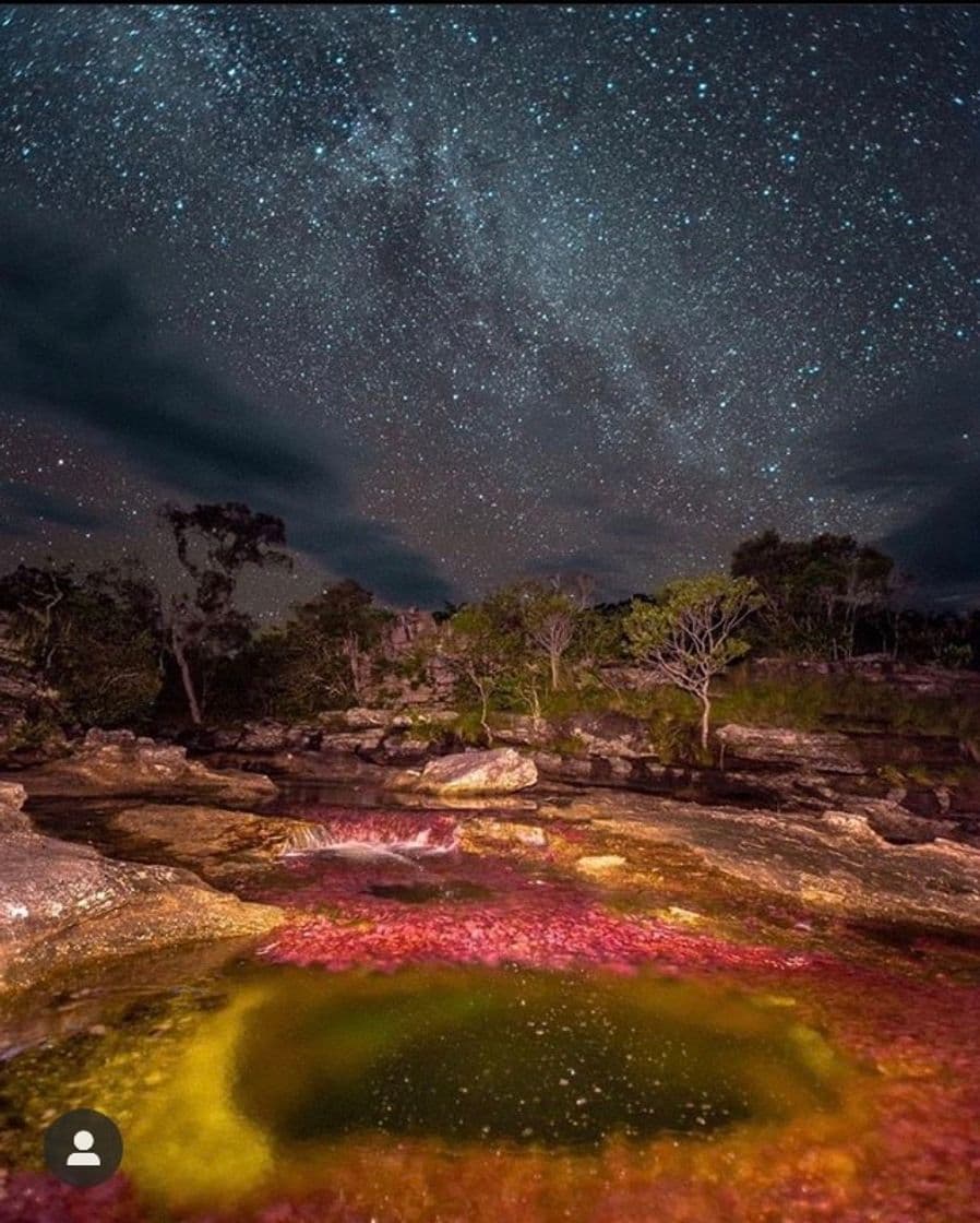 Place Caño Cristales