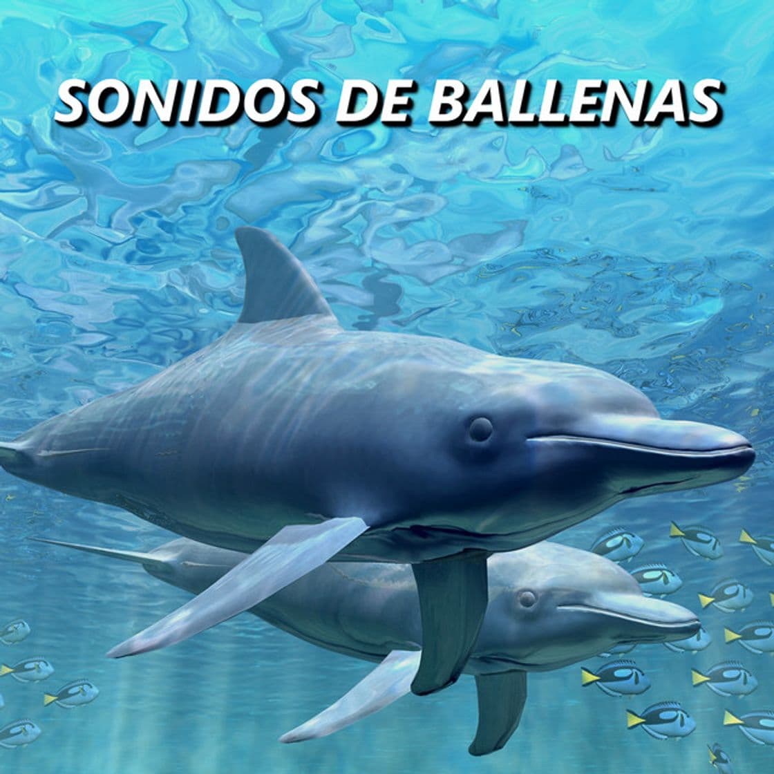 Canción Ballenas