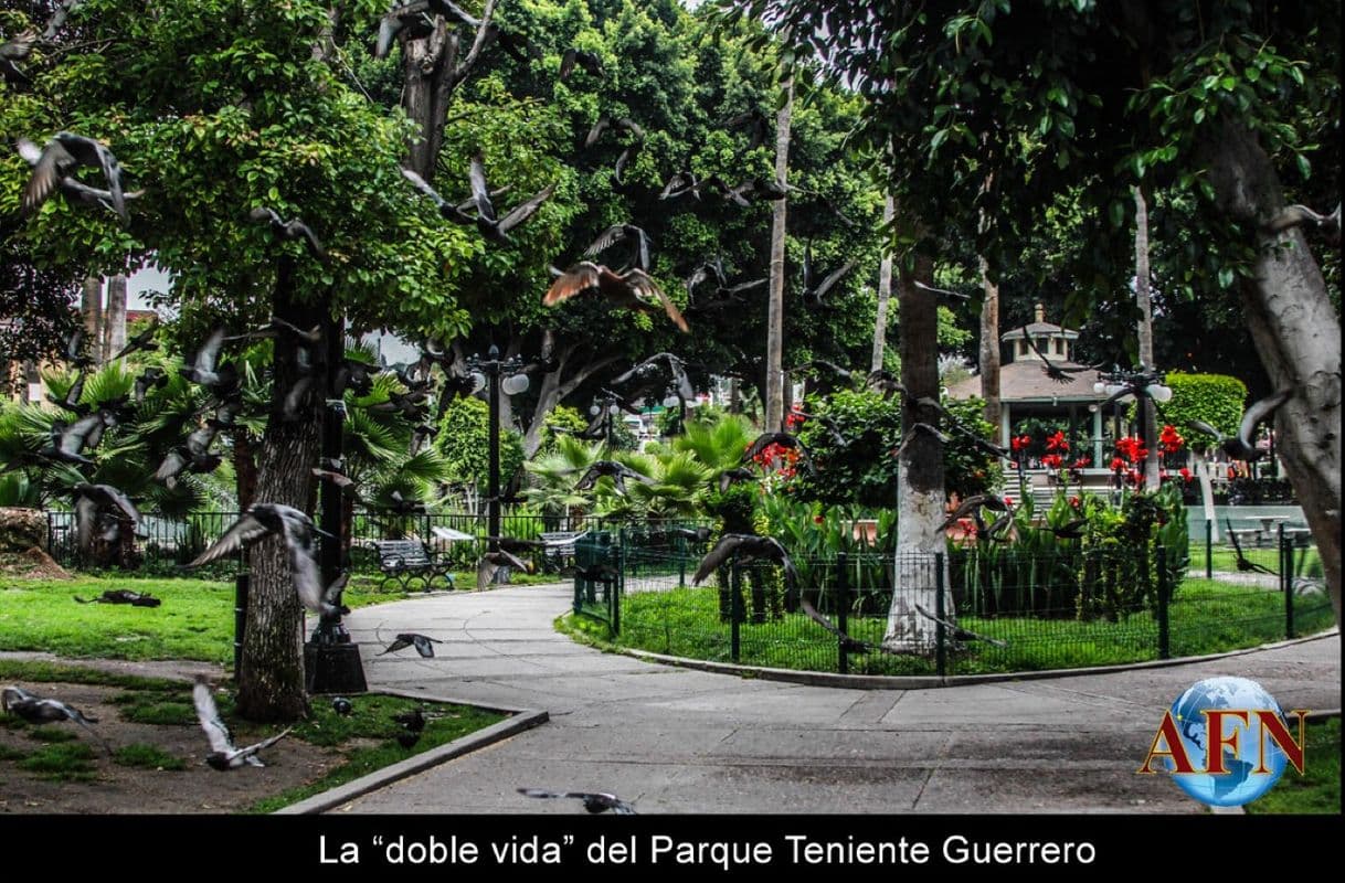 Lugar Parque Teniente Guerrero