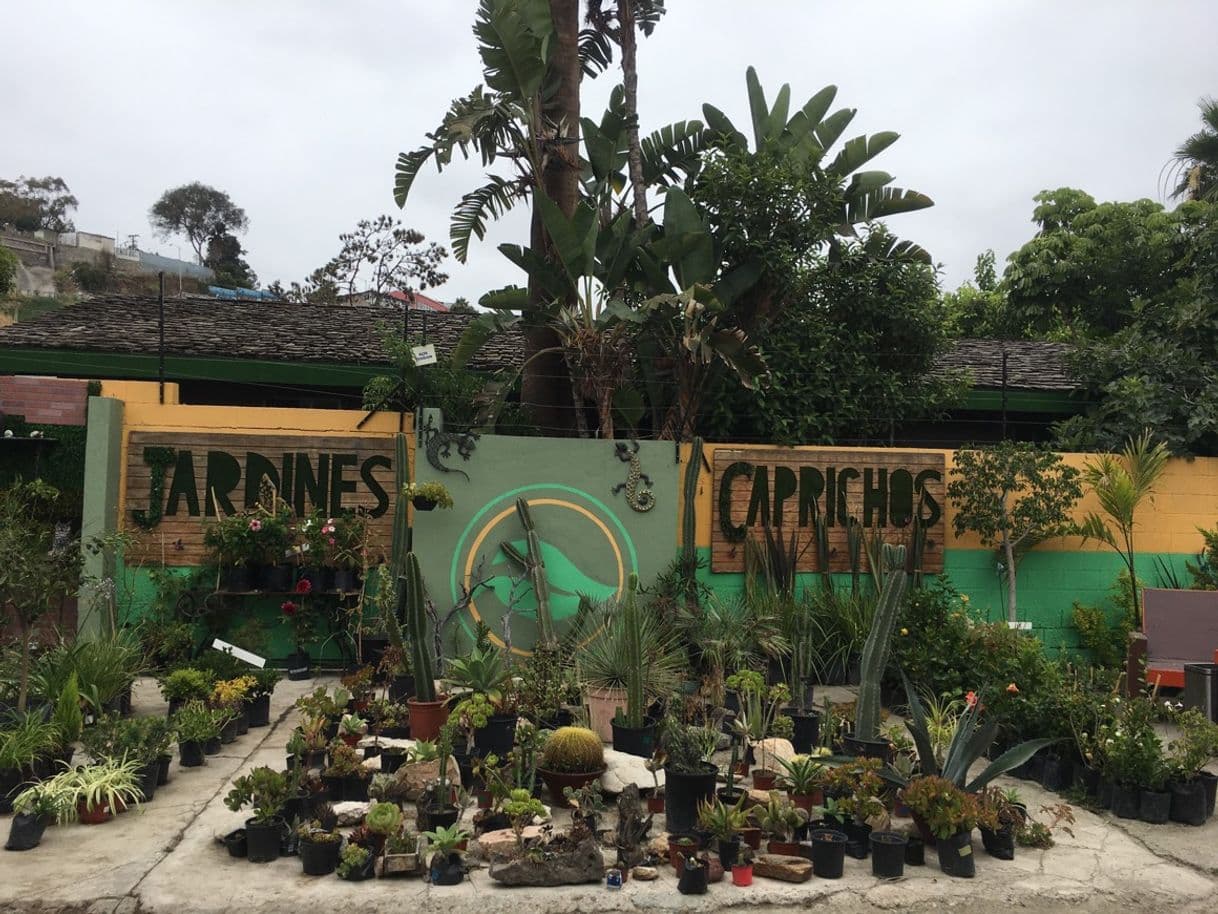 Lugar JARDINES Y CAPRICHOS