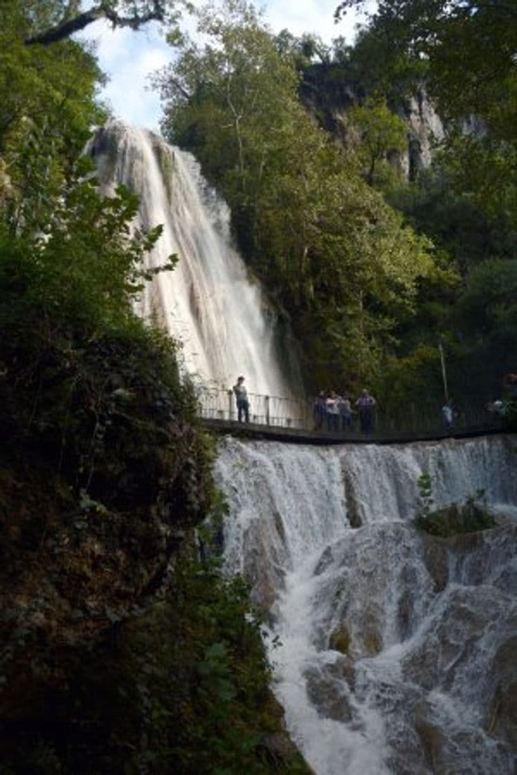 Place Cascada Cola de Caballo