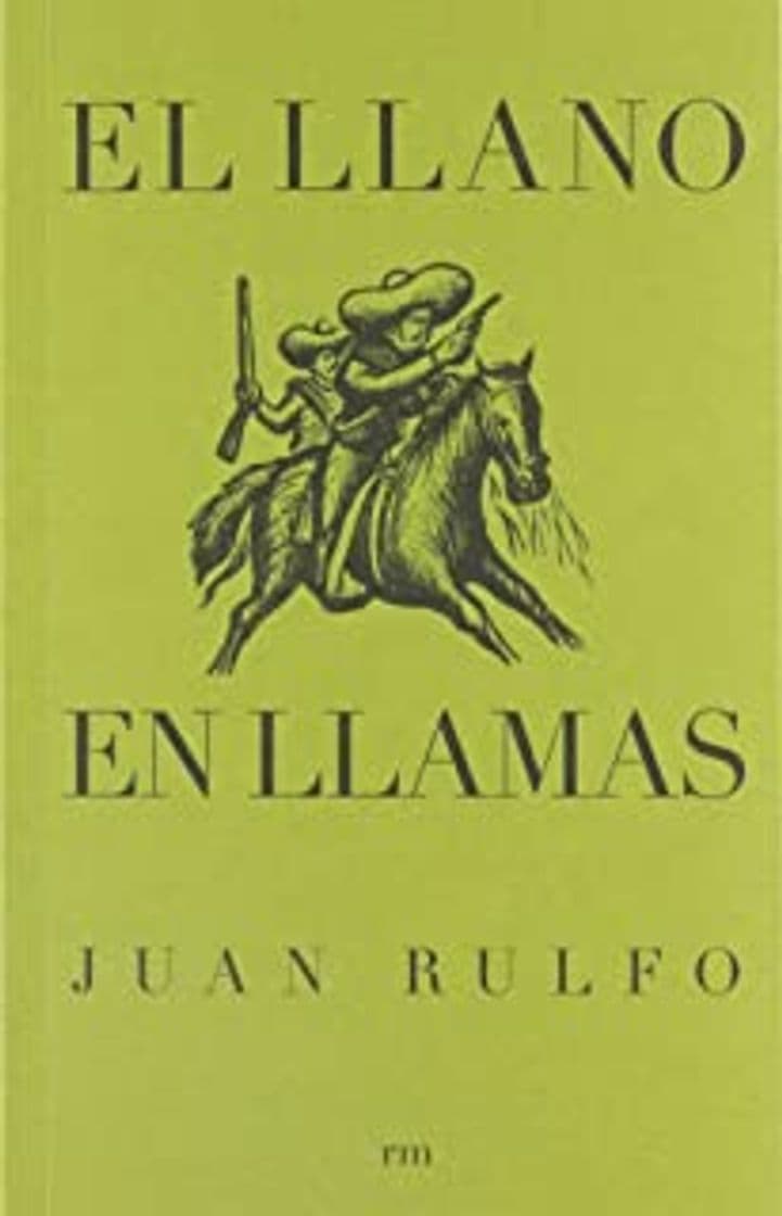 Book El Llano en llamas