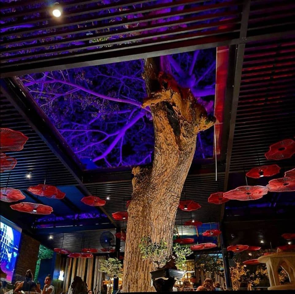 Restaurants Miyabi | El Árbol