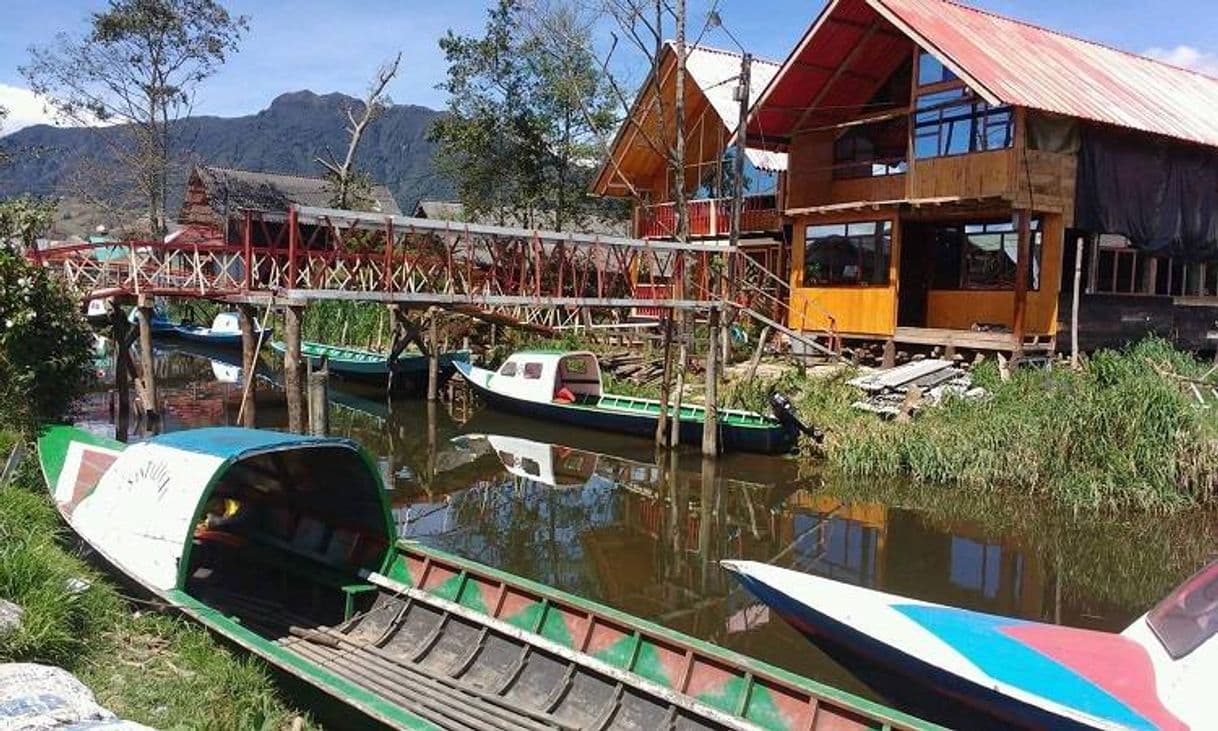 Place Laguna De La Cocha