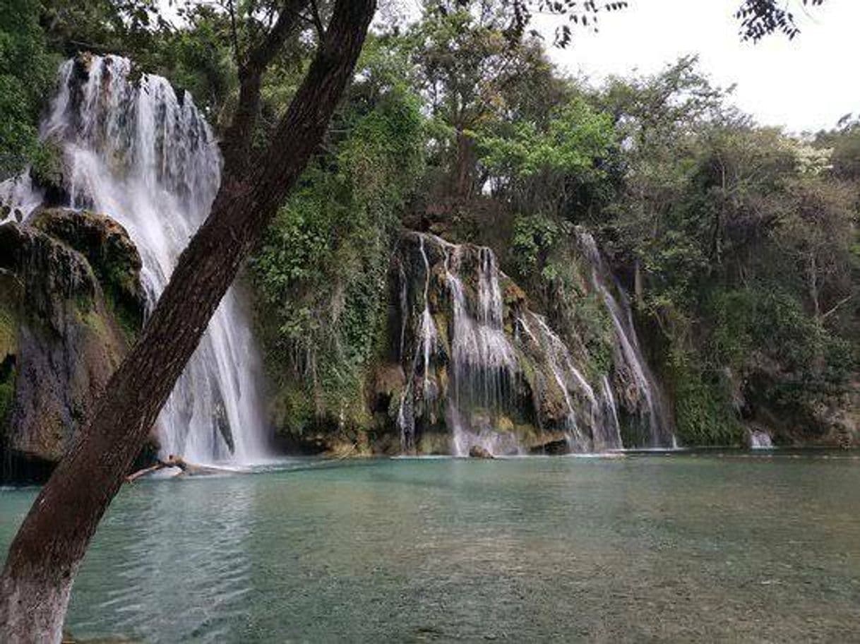 Lugar Cascadas de Tamasopo