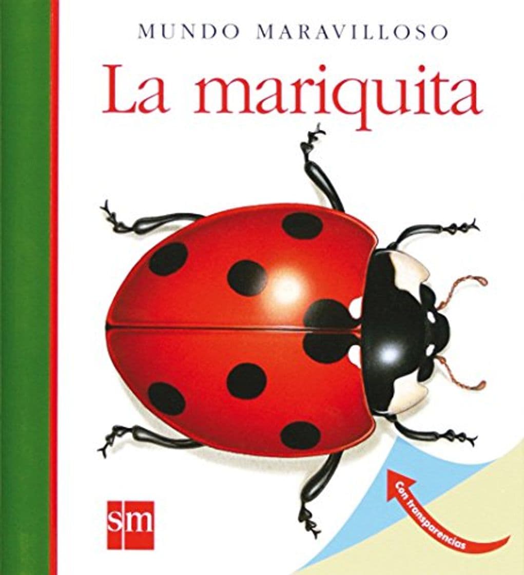 Libro La mariquita