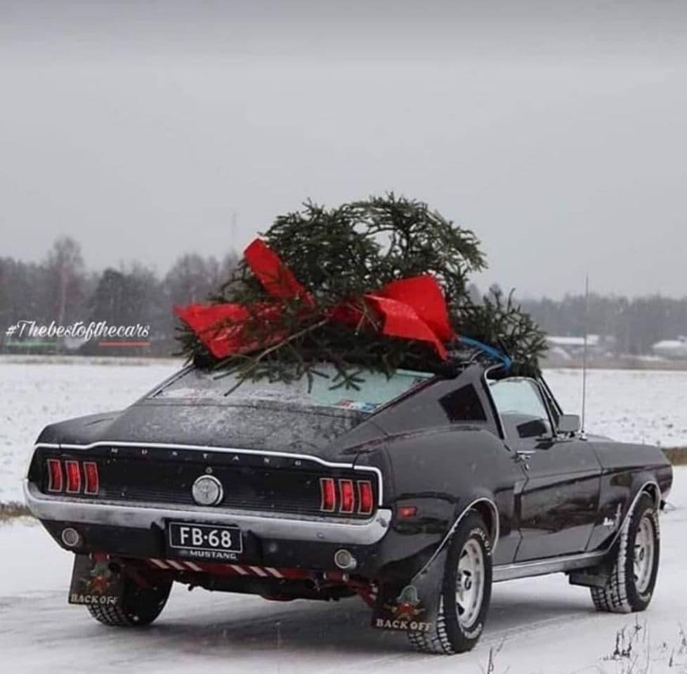 Fashion Ford Mustang