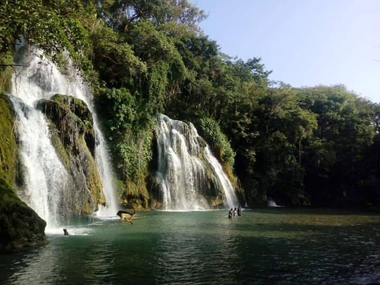 Place Cascadas de Tamasopo