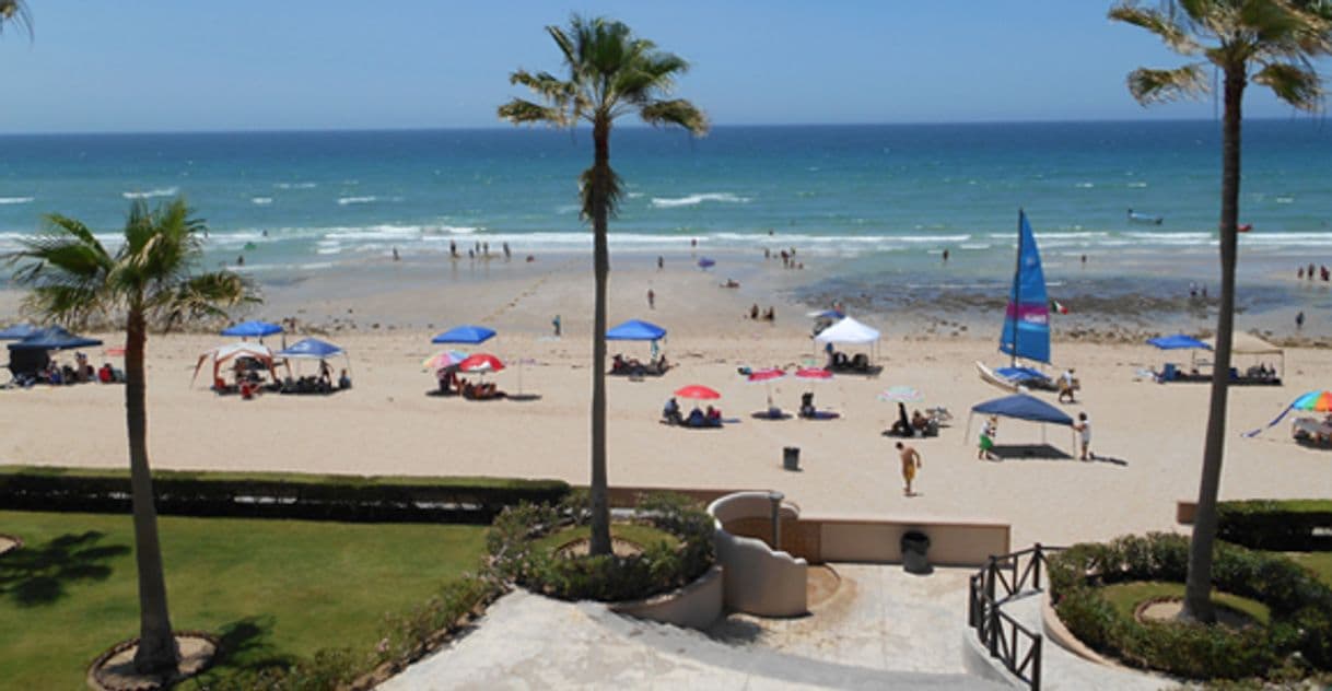 Restaurants Puerto Peñasco