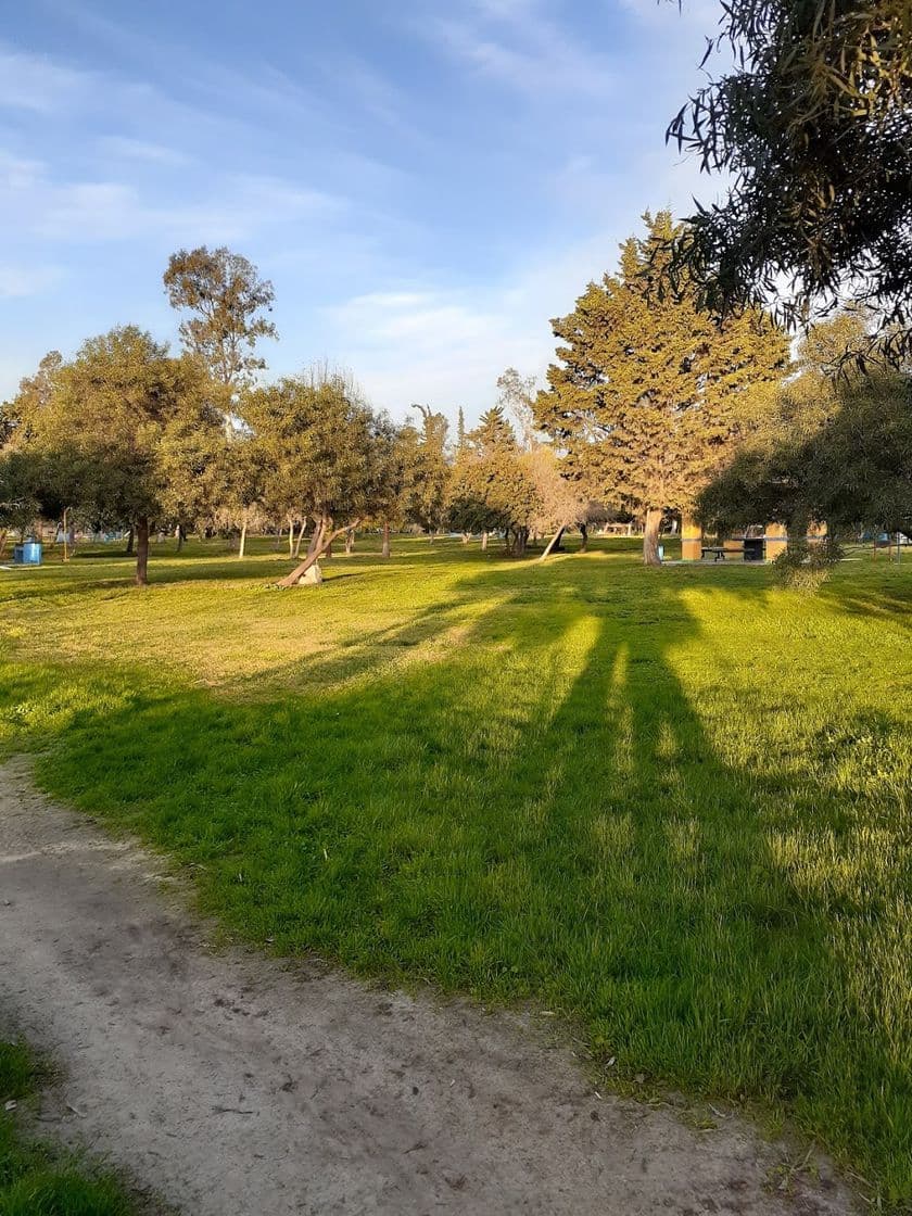 Place Parque de la Amistad