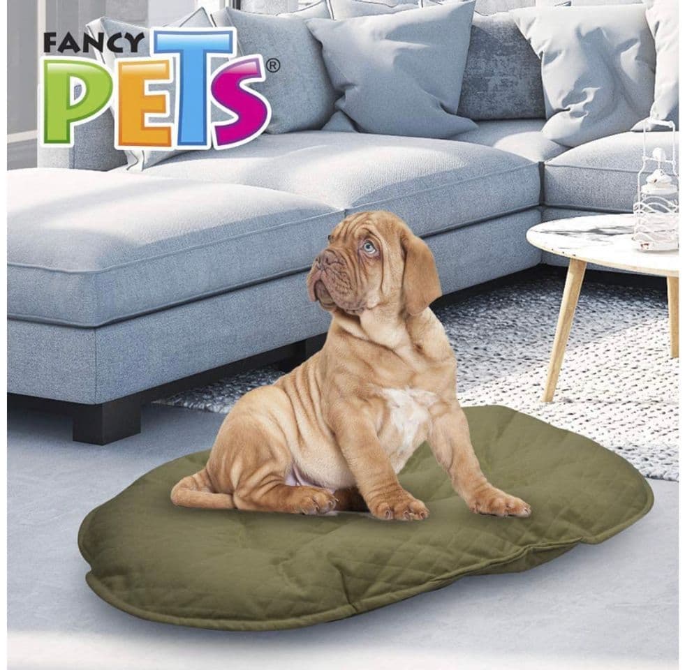 Fashion Cama para perro