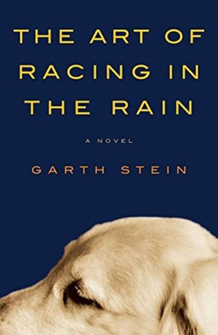 Libro The Art of Racing in the Rain