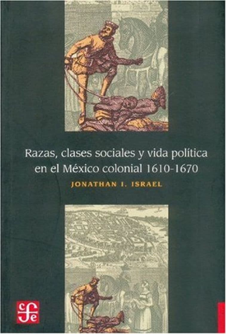 Book Razas, clases sociales y vida politica en el México colonial