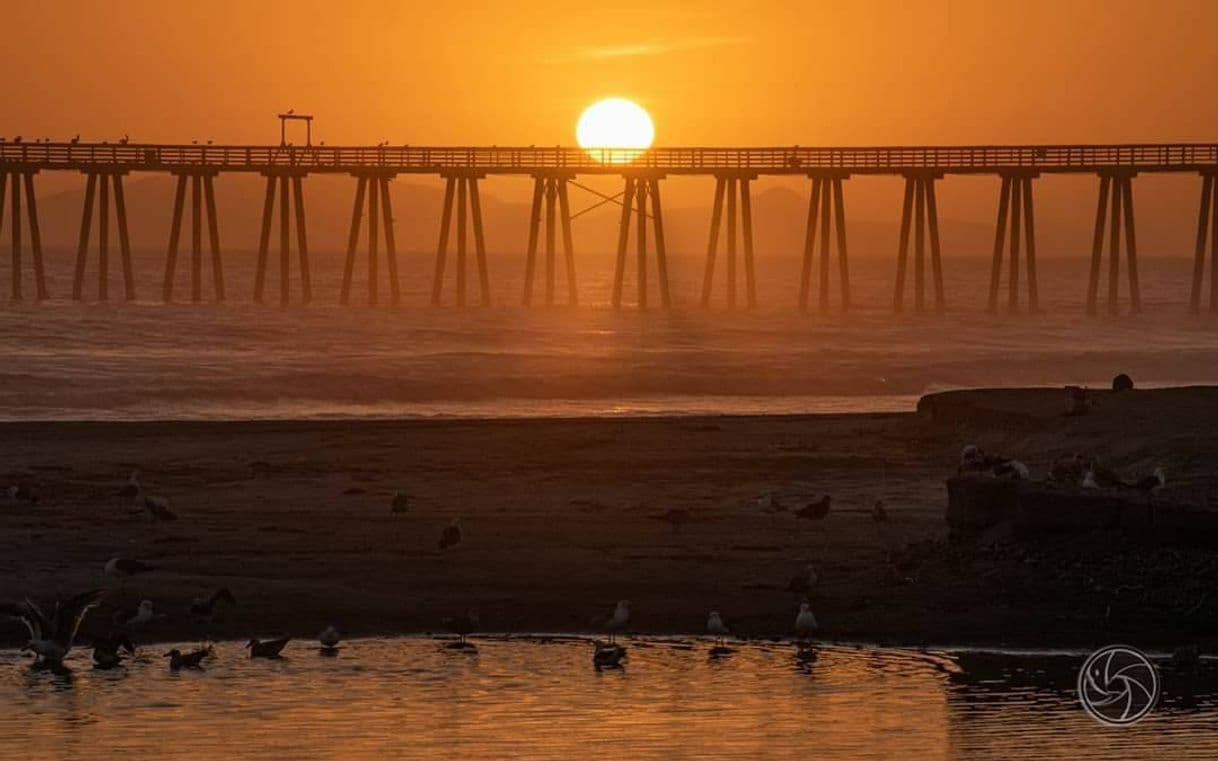 Place Rosarito - Tijuana