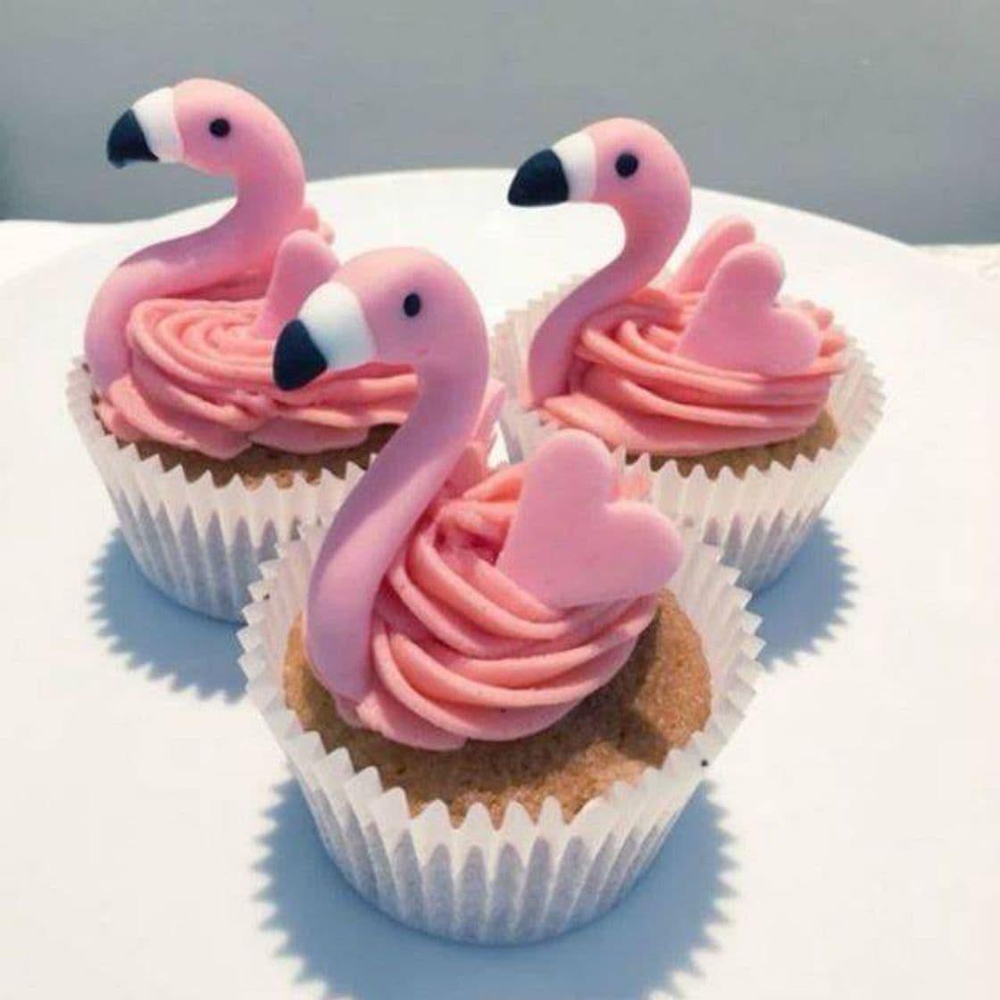 Moda Cupcakes