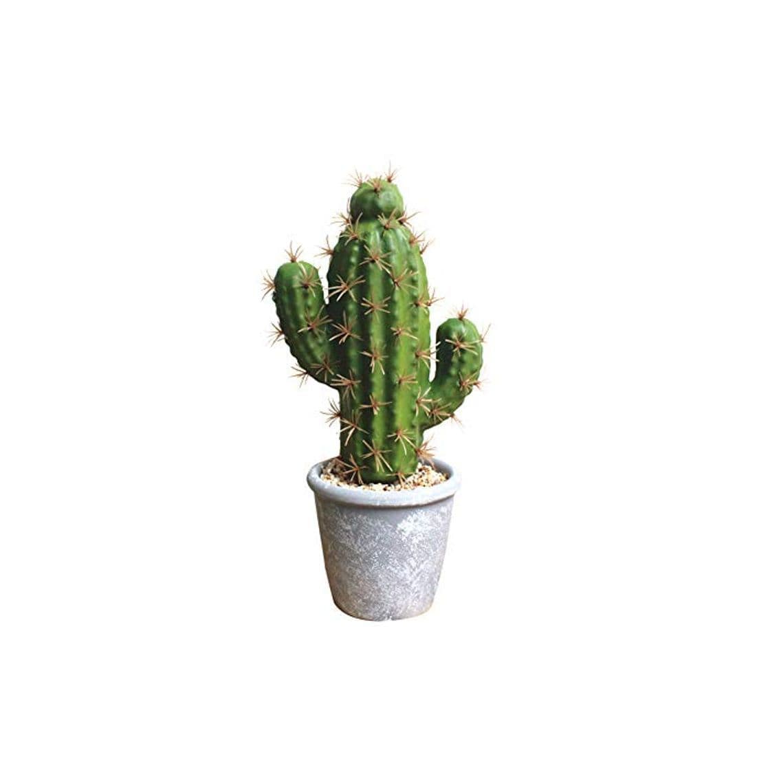 Producto Homeofying - Cactus Artificiales de Cactus bonsái para decoración de Fiestas