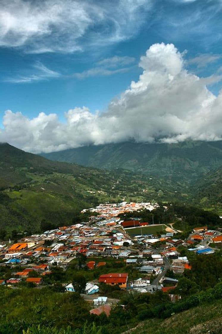 Place Queniquea