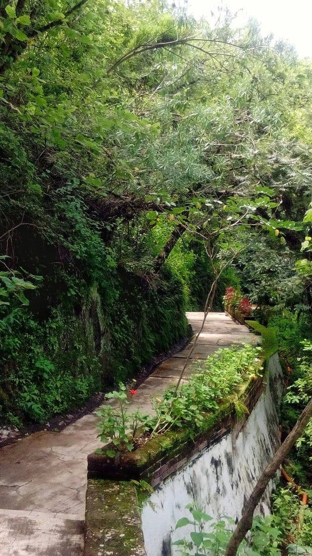 Lugar Grutas de la Estrella